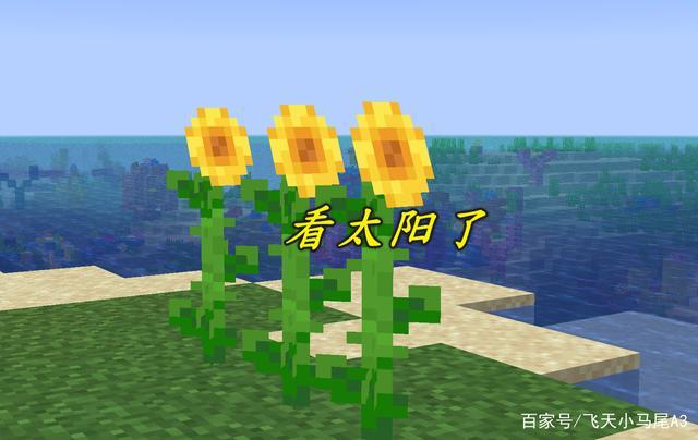 我的世界向日葵平原种子