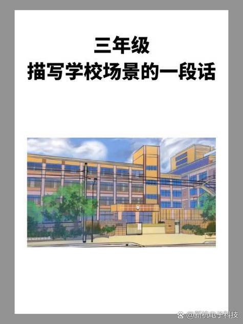 不管是在清晨宁静的校园