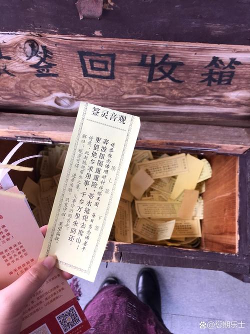 抽签抽到海鸥命是什么意思截图