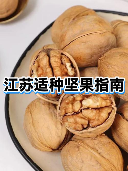 在美国买的坚果能带回中国吗