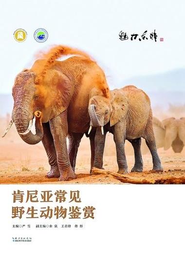 天美大象在线观看免费完整版电影