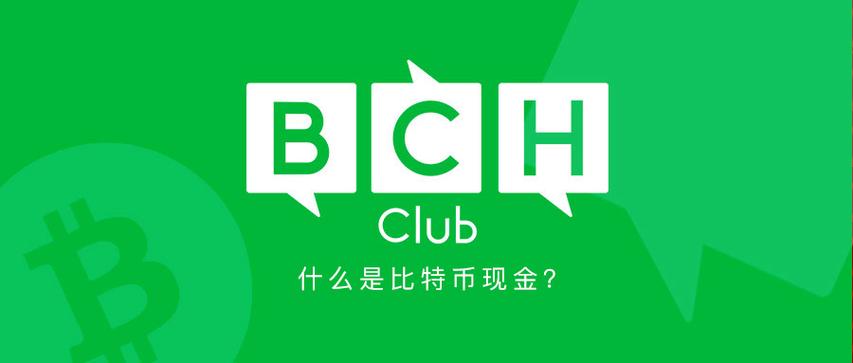 bch币最高价位是多少