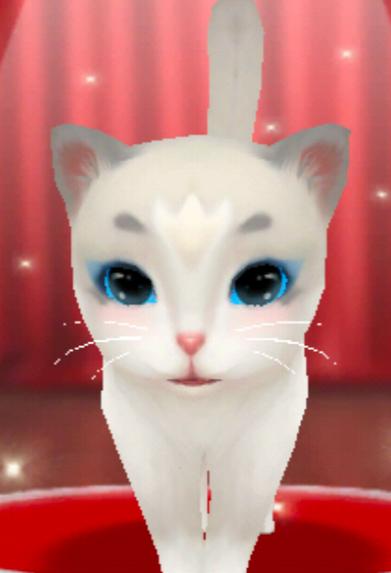 晴天小猫版本