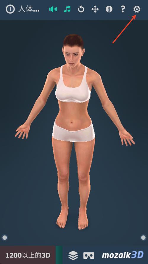 body软件截图