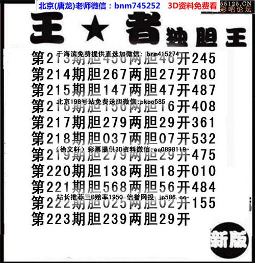 云南独胆王