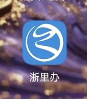 浙里办登不进去是怎么回事