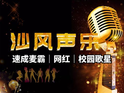 中国好声音2024年报名时间
