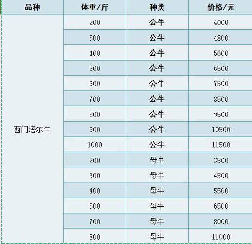现在小公牛什么价格