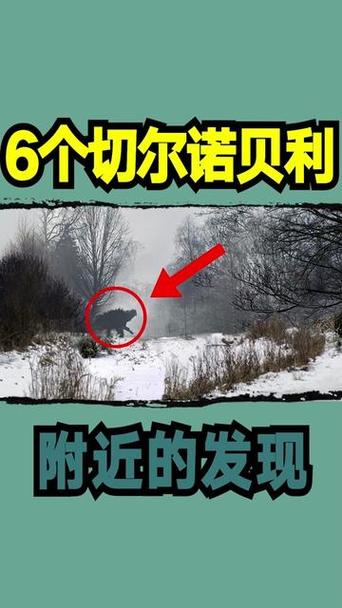变异的熊长什么样