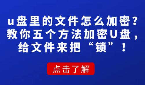u盘里文件加密了忘了密码