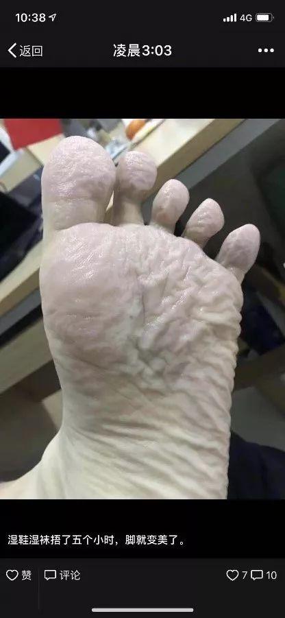 足美屋论坛会员