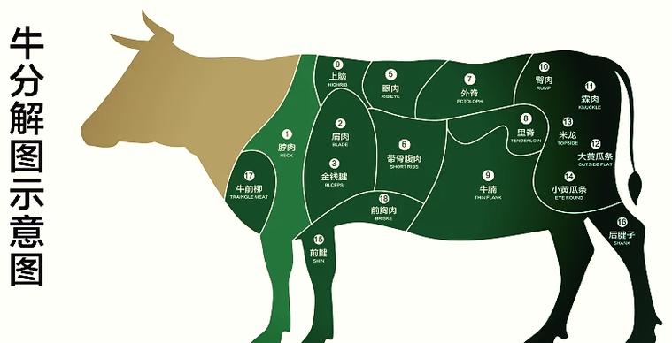 小黄瓜条牛肉优点