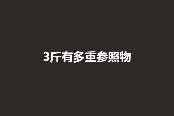 生活中重3斤的东西