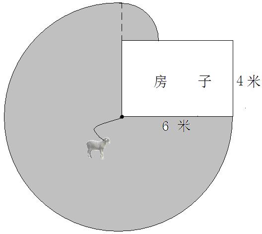 一只羊被拴在边长为4米