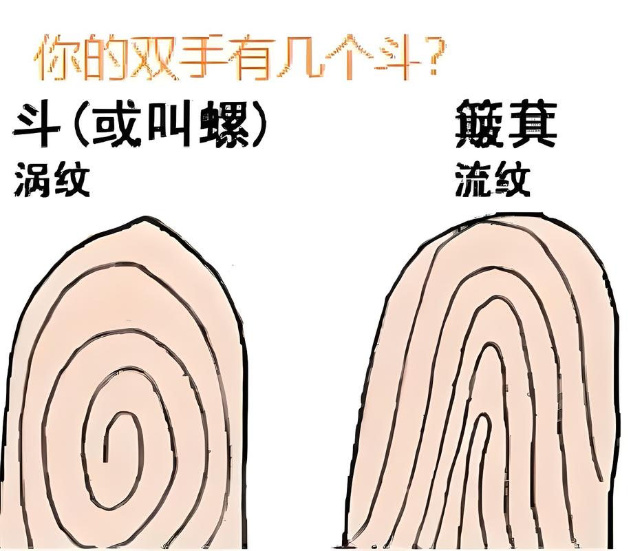 斗手丫七人