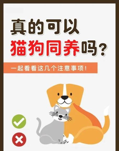 最简单的养狗方法图标