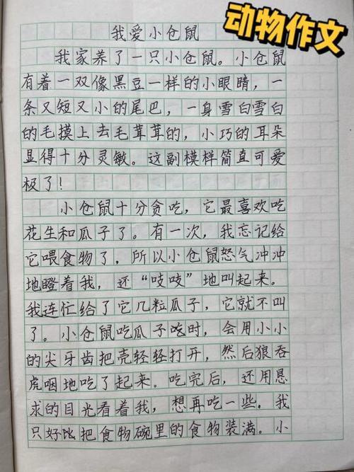 《我喜欢的小动物》截图