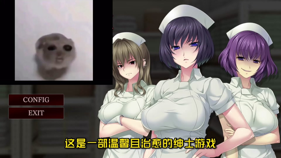 自由度超高的绅士游戏