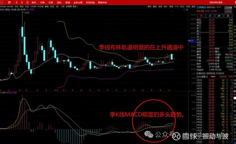 长线最好的三只股截图