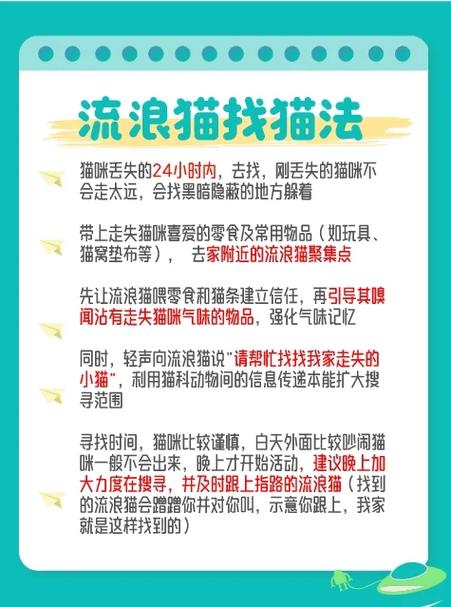 猫丢了怎么才能找回来