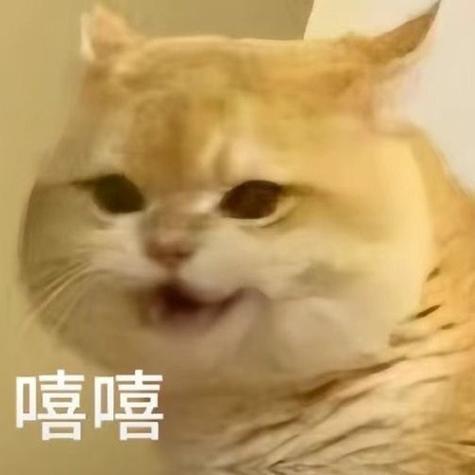 嘻嘻表情包图标