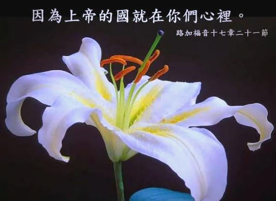 基督徒要谨慎行事