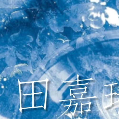 田嘉瑞公司是哪家