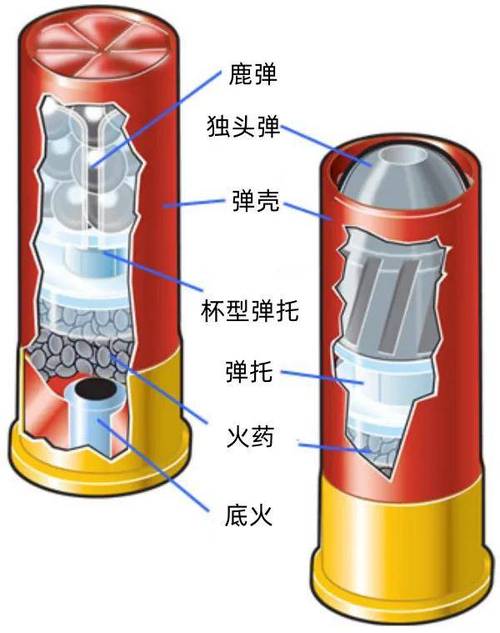 霰弹子弹结构图缩略图