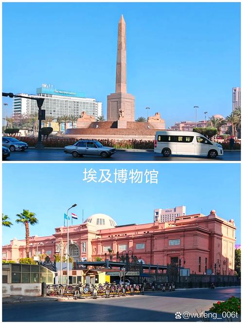 埃及广场 在线观看