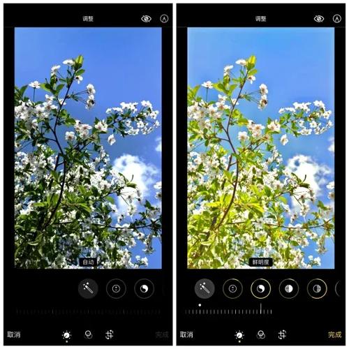iphone万能滤镜