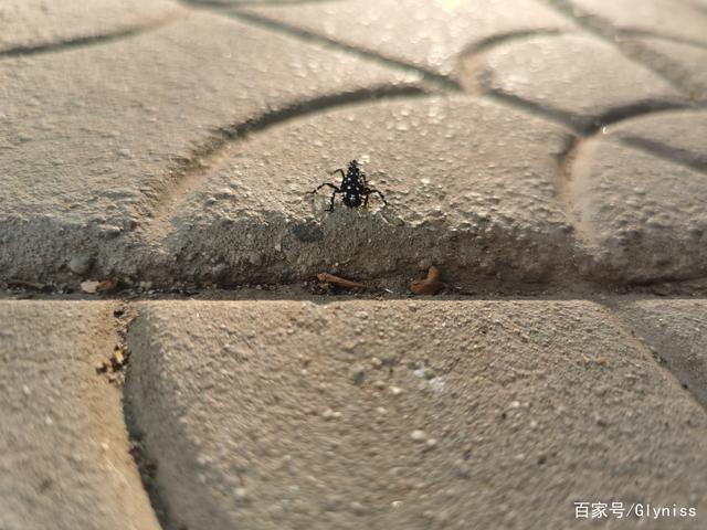 vivo手机怎么和华为手机互传图标