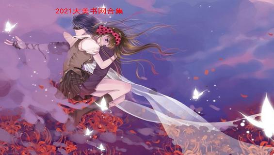 大美书网最新版