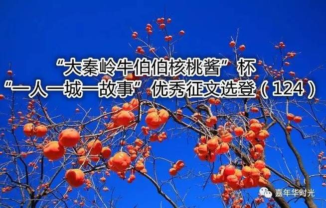 作家描写柿子的文章
