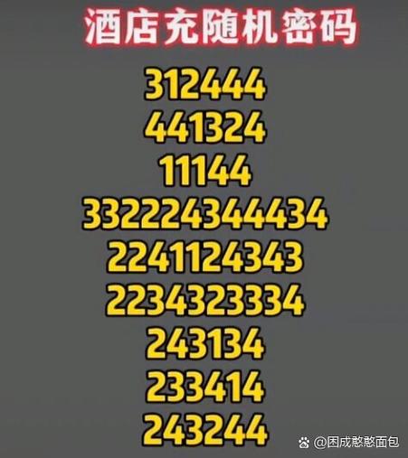 酒店充电器4键6位破解游戏截图