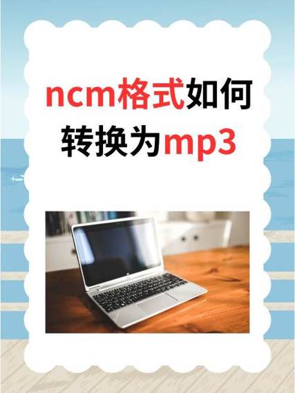 ncm转换器网页版图标