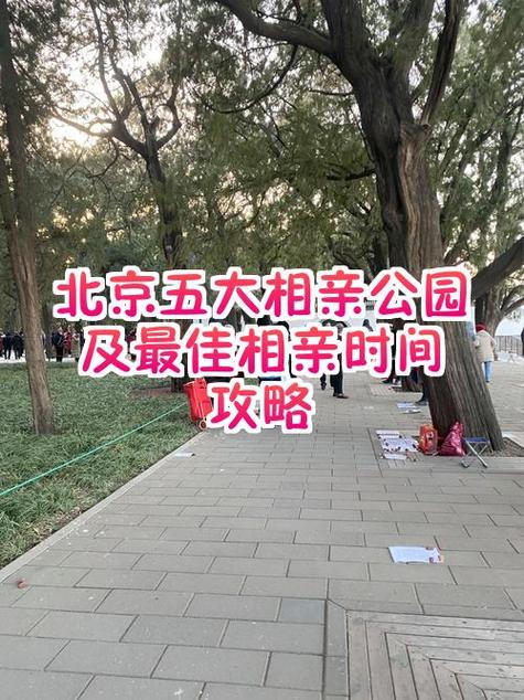 济南相亲会2026时间表