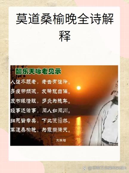 桑榆个人简介