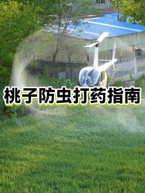 桃子打药一览表