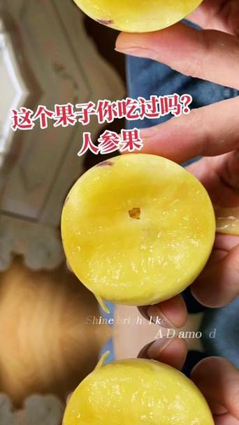 硬的人参果放几天会软吗