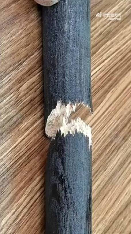 木棍断了怎么修补最好