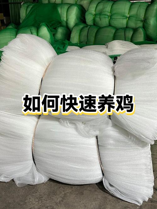 如何养鸡最赚钱