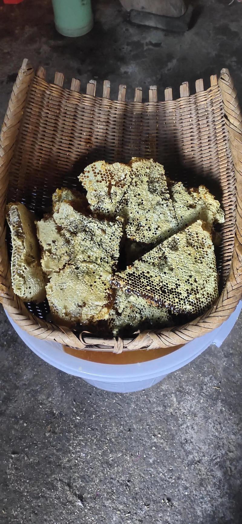 自家土蜂蜜怎么割
