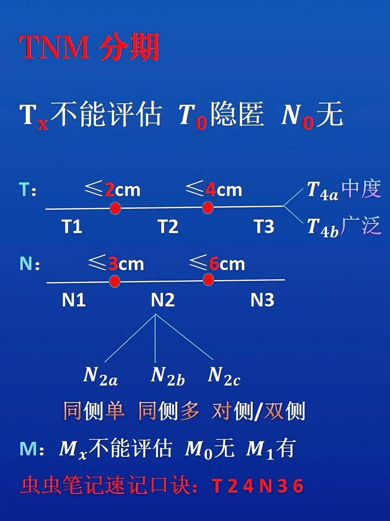 MTX中文含义