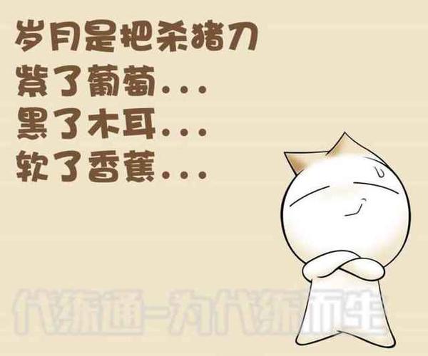 形容岁月是把杀猪刀的诗句