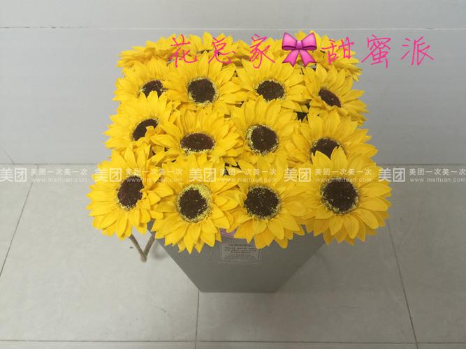 美团向日葵是干嘛的游戏截图