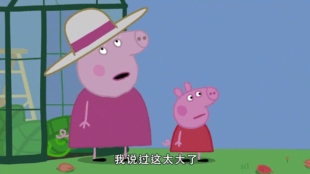 小猪小朱