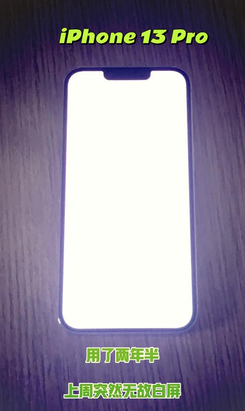 苹果x自拍拍照是白屏游戏截图