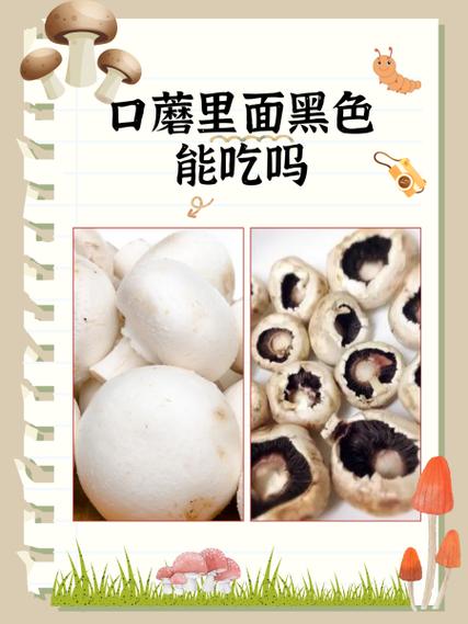 口蘑中间的蘑菇杆怎么取出来