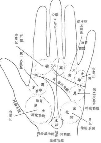 手掌心是什么意思
