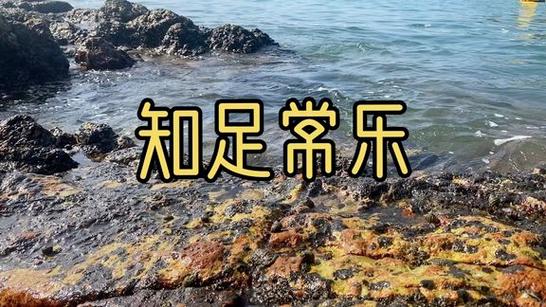 知足视频图标
